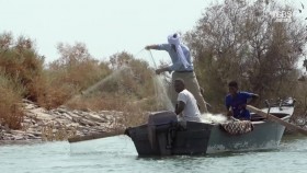 Egypt With The Worlds Greatest Explorer S01E03 1080p HDTV H264-CBFM EZTV