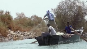 Egypt With The Worlds Greatest Explorer S01E03 XviD-AFG EZTV