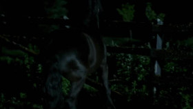 Eli Roth Presents My Possessed Pet S01E01 XviD-AFG EZTV