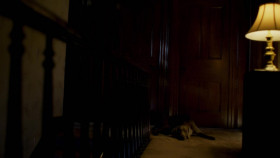 Eli Roth Presents My Possessed Pet S01E02 Master of the House 720p WEB h264-REALiTYTV EZTV