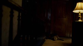 Eli Roth Presents My Possessed Pet S01E02 Master of the House PROPER 1080p WEB h264-REALiTYTV EZTV