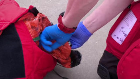 Emergency Helicopter Medics S05E07 XviD-AFG EZTV