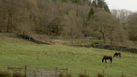 Escape to the Country S15E03 Snowdonia WEB x264-APRiCiTY EZTV