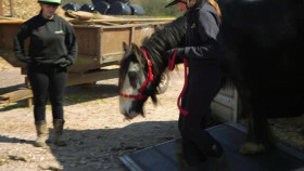 Escape to the Farm with Kate Humble S02E08 XviD-AFG EZTV