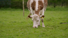 Escape To The Farm With Kate Humble S03E04 1080p WEB H264-CBFM EZTV