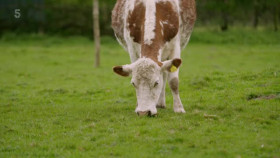 Escape to the Farm with Kate Humble S03E04 XviD-AFG EZTV