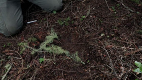 Expedition Bigfoot S05E06 720p HEVC x265-MeGusta EZTV