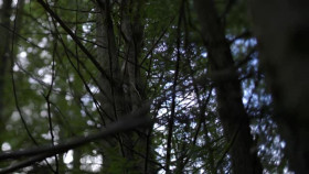 Expedition Bigfoot S05E06 XviD-AFG EZTV