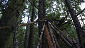 Expedition Bigfoot S05E07 1080p HEVC x265-MeGusta EZTV