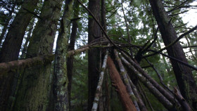 Expedition Bigfoot S05E07 1080p WEB h264-FREQUENCY EZTV