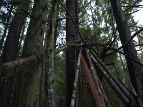 Expedition Bigfoot S05E07 480p x264-mSD EZTV