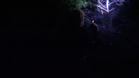 Expedition Bigfoot S05E08 720p HEVC x265-MeGusta EZTV