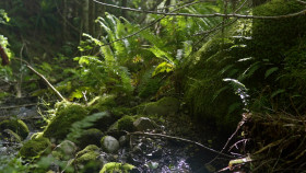 Expedition Bigfoot S06E01 1080p WEB h264-FREQUENCY EZTV