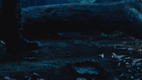 Expedition Files S01E02 XviD-AFG EZTV