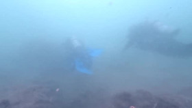 Expedition Unknown S14E01 XviD-AFG EZTV