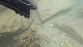 Expedition Unknown S14E05 1080p WEB h264-FREQUENCY EZTV