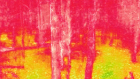 Expedition X S08E08 1080p WEB h264-FREQUENCY EZTV