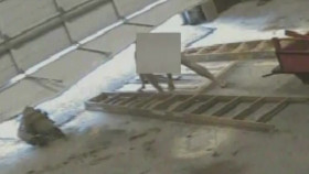 Exposed Naked Crimes S02E03 1080p WEB h264-FREQUENCY EZTV