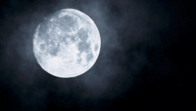 Exposed Naked Crimes S02E05 1080p WEB h264-EDITH EZTV