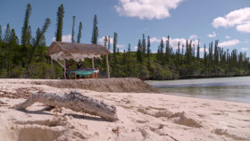 Extreme Weddings Australia S01E08 1080p HDTV H264-CBFM EZTV