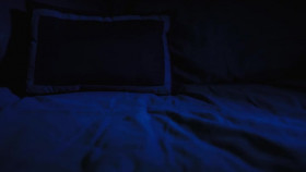 Fallen Idols Nick and Aaron Carter S01E04 WEBRip x264-XEN0N EZTV