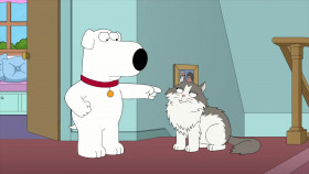 Family Guy S19E19 Family Cat 720p HULU WEBRip DDP5 1 x264-NTb EZTV