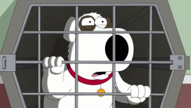 Family Guy S21E18 XviD-AFG EZTV
