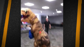 Fasten Your Seatbelt S01E05 720p WEB h264-BAE EZTV