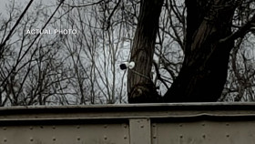 Fear Thy Neighbor S10E01 1080p HEVC x265-MeGusta EZTV