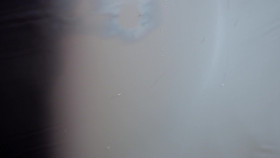 Fear Thy Neighbor S11E05 1080p WEB h264-FREQUENCY EZTV