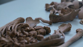 Field Of Vampires S01E02 1080p WEB H264-CBFM EZTV