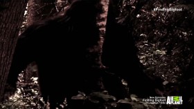 Finding Bigfoot S08E07 Squatching on Sacred Ground-The Aftershow 720p HDTV x264-DHD EZTV