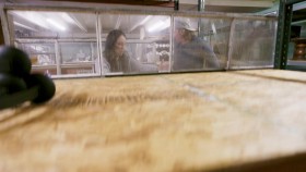 Fixer Upper Welcome Home S01E01 A Neglected Home for Newlyweds 720p WEB h264-B2B EZTV