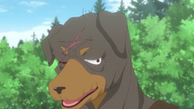 Fluffy Paradise S01E10 XviD-AFG EZTV