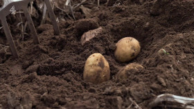 Food Unwrapped S25E04 1080p HDTV H264-DARKFLiX EZTV