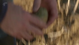 Food Unwrapped Series 7 3of4 Ecuador 720p x264 HDTV EZTV