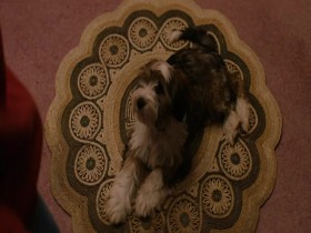 Frank of Ireland S01E03 480p x264-mSD EZTV