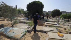 Frontline S42E13 A Year of War Israelis and Palestinians 1080p HEVC x265-MeGusta EZTV