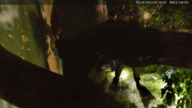 Fugitives Caught on Tape S01E13 1080p WEB h264-EDITH EZTV