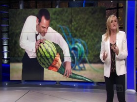 Full Frontal With Samantha Bee S04E24 REAL 480p x264-mSD EZTV