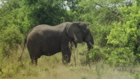 Full Frontal with Samantha Bee S06E19 1080p WEB H264-JEBAITED EZTV