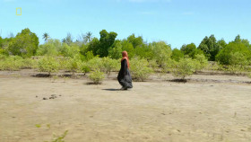 Future from Above S01E04 1080p HDTV H264-CBFM EZTV