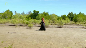 Future from Above S01E04 XviD-AFG EZTV