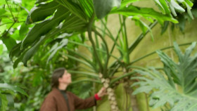 Gardeners World 2022-S55E10-Episode 10 720p WEB x264-NGP EZTV