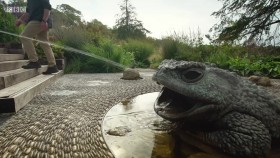 Gardeners World S53E27 20p WEB-DL h264 EZTV