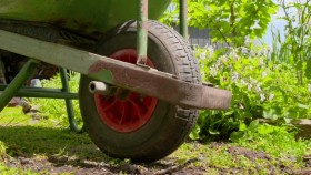 Gardening Australia S32E01 720p WEB h264-WEBTUBE EZTV