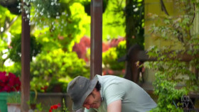 Gardening Australia S32E25 XviD-AFG EZTV