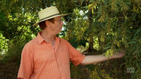 Gardening Australia S33E05 720p WEB h264-DiRT EZTV