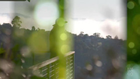 Gardening Australia S33E22 XviD-AFG EZTV