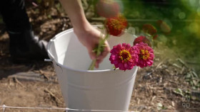 Gardening Australia S33E27 XviD-AFG EZTV